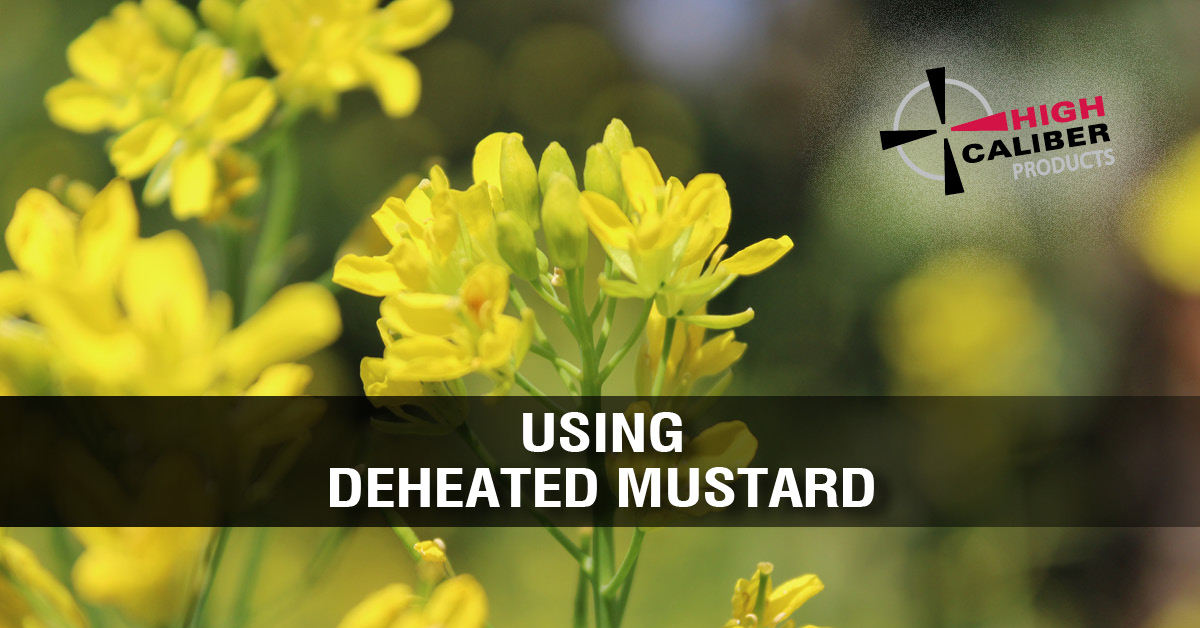 using deheated mustard as a binder